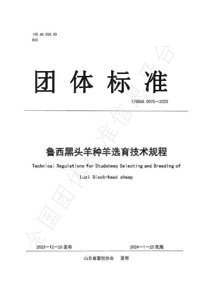 T/SDAA 0075-2023 标准预览