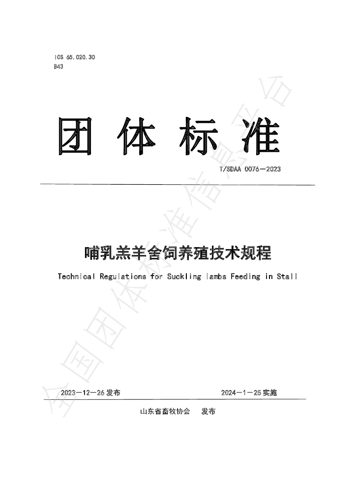 T/SDAA 0076-2023 标准预览