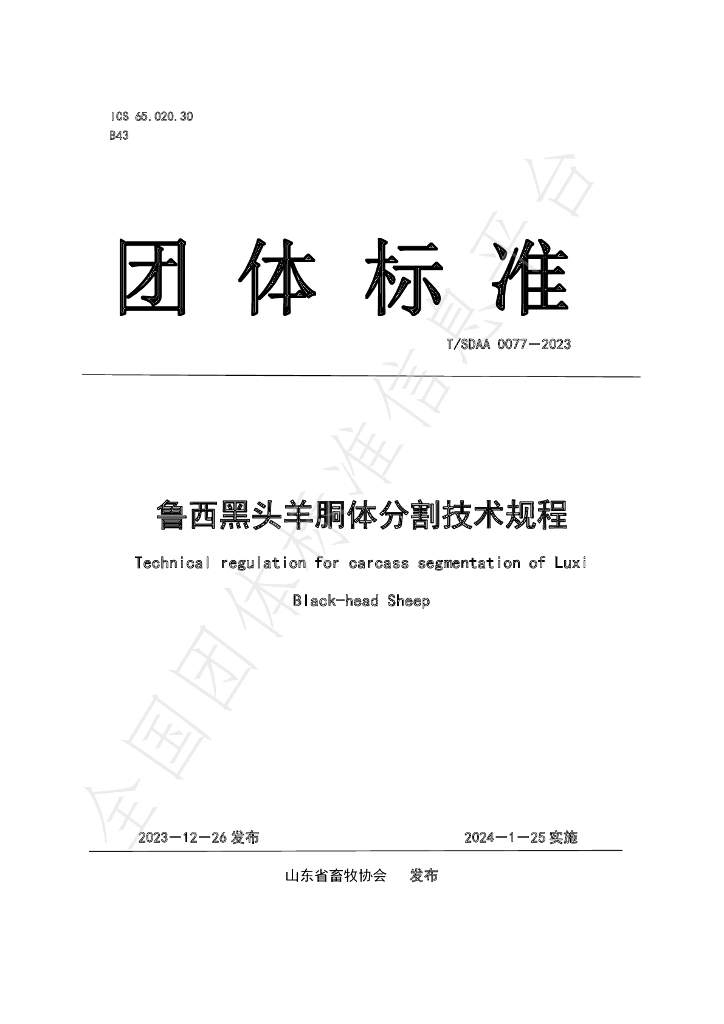 T/SDAA 0077-2023 标准预览
