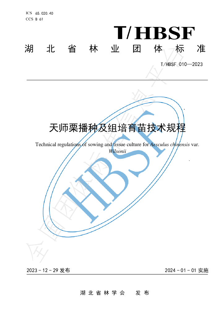 T/HBSF 010-2023 标准预览
