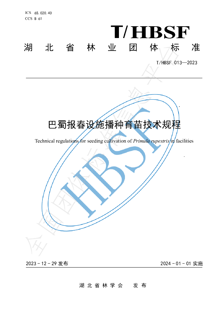 T/HBSF 013-2023 标准预览