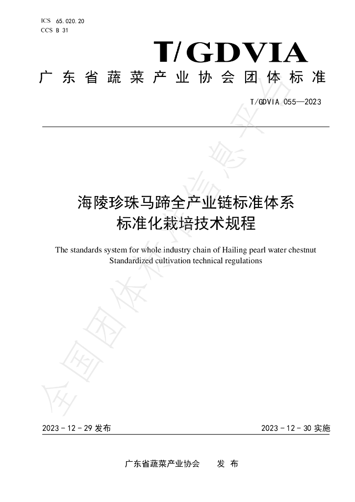 T/GDVIA 055-2023 标准预览
