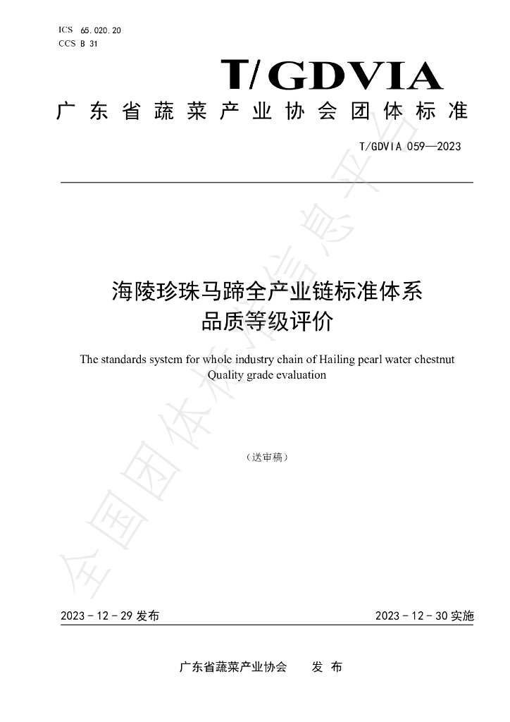 T/GDVIA 059-2023 标准预览