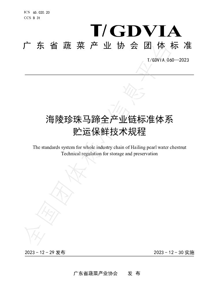 T/GDVIA 060-2023 标准预览