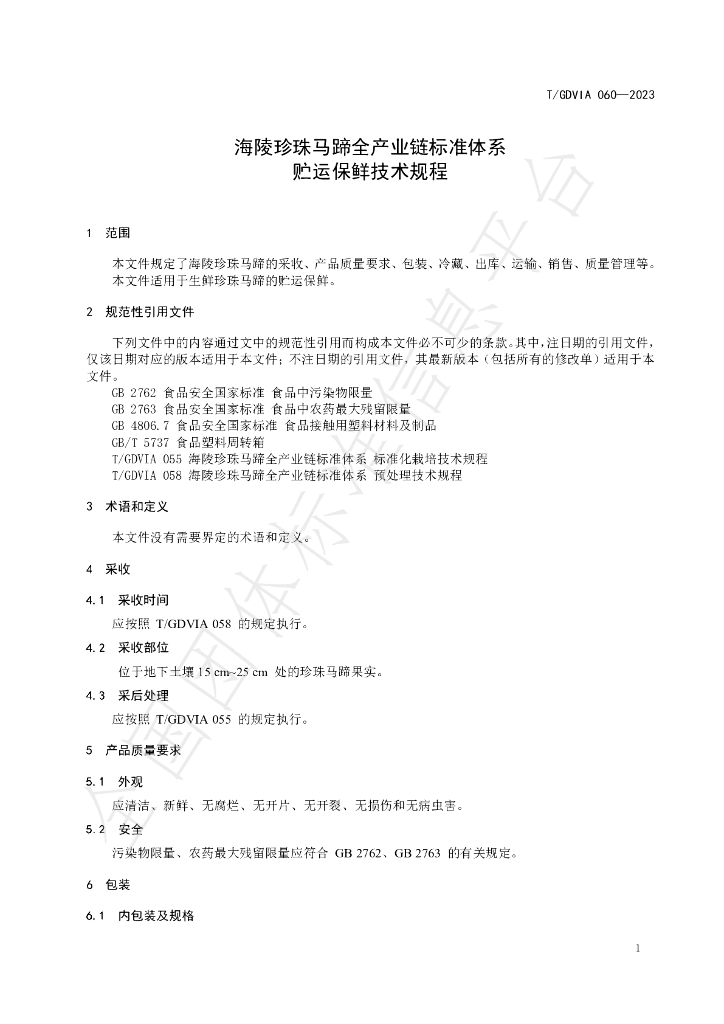 T/GDVIA 060-2023 标准预览