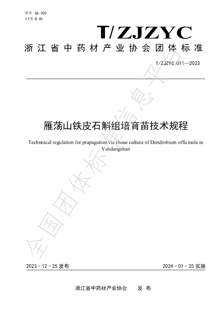T/ZJZYC 011-2023 标准预览