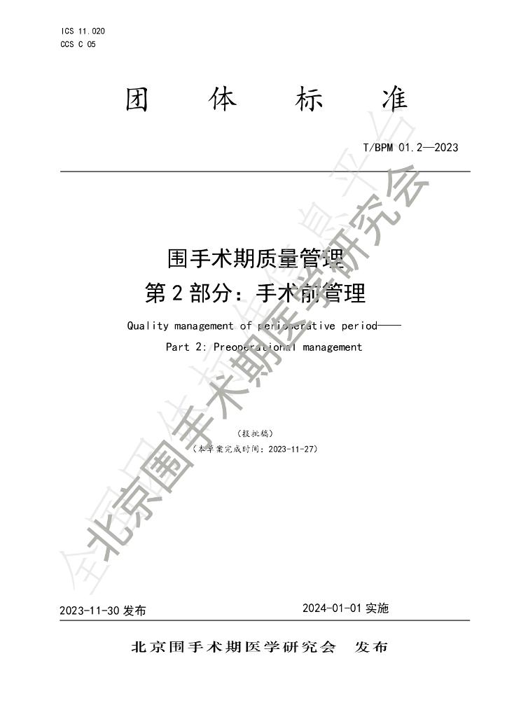 T/BPM 002-2023 标准预览