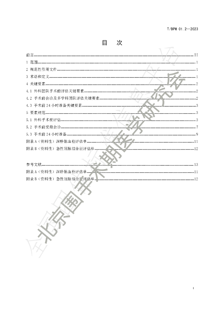 T/BPM 002-2023 标准预览
