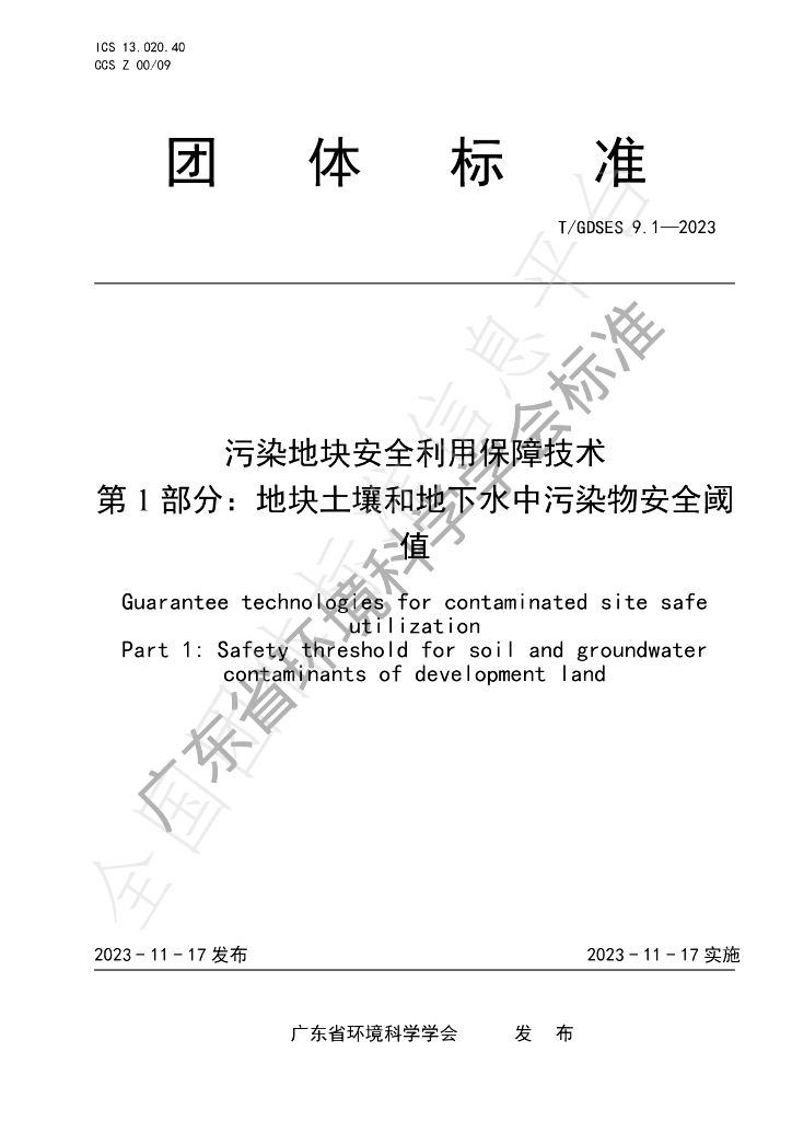 T/GDSES 9.1-2023 标准预览