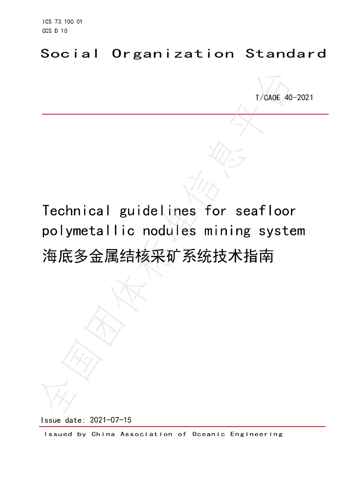 T/CAOE 40EN-2021 标准预览