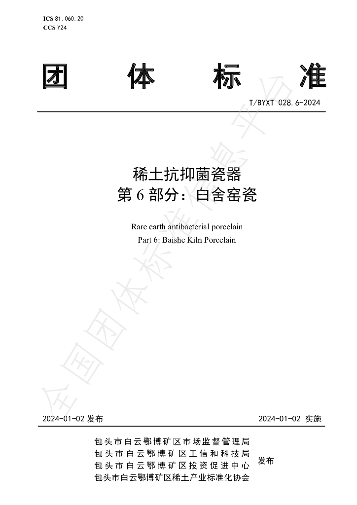 T/BYXT 028.6-2024 标准预览