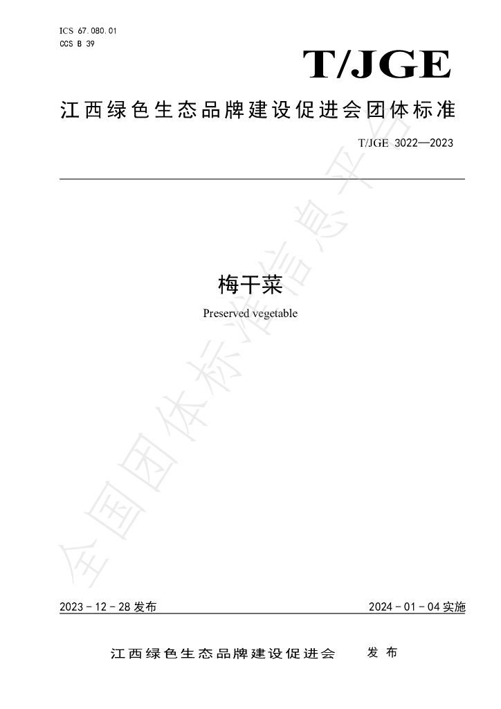 T/JGE 3022-2023 标准预览