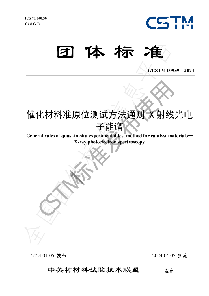 T/CSTM 00959-2024 标准预览