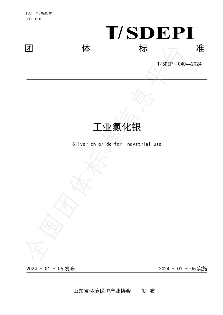 T/SDEPI 040-2024 标准预览
