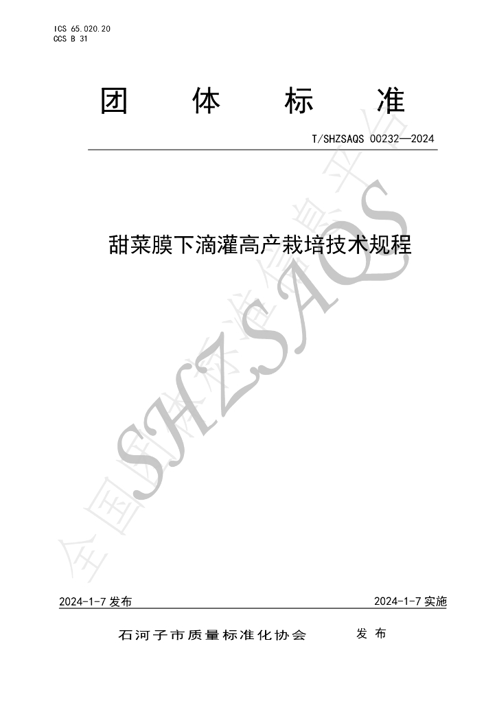 T/SHZSAQS 00232-2024 标准预览