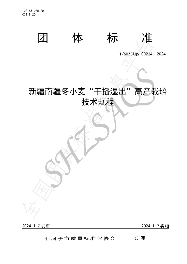 T/SHZSAQS 00234-2024 标准预览