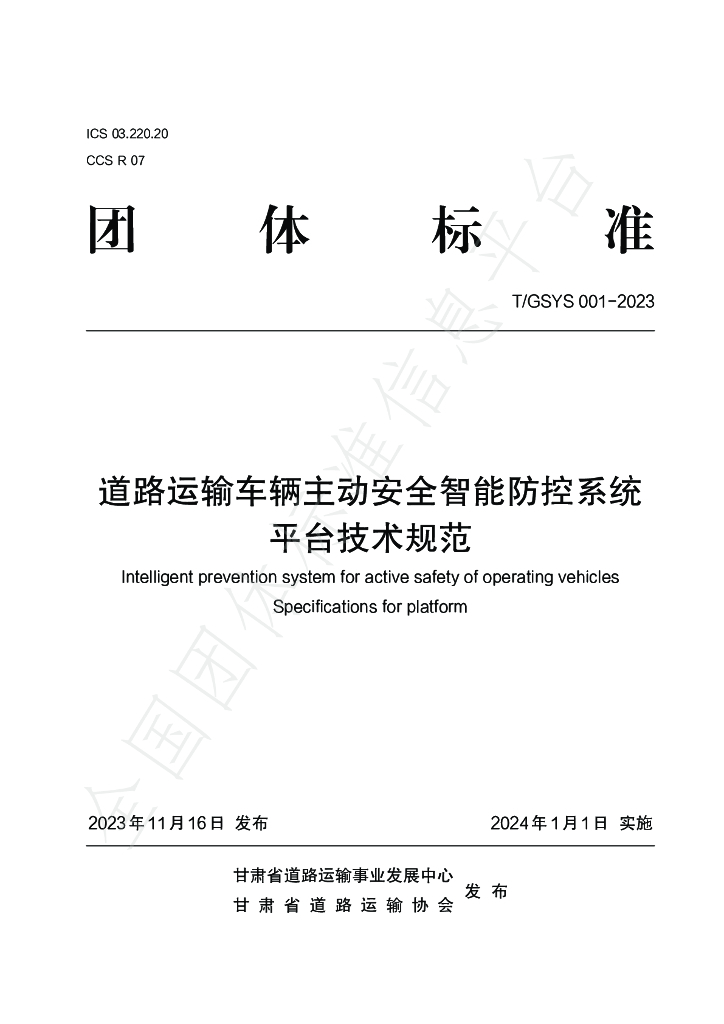 T/GSYS 001-2023 标准预览