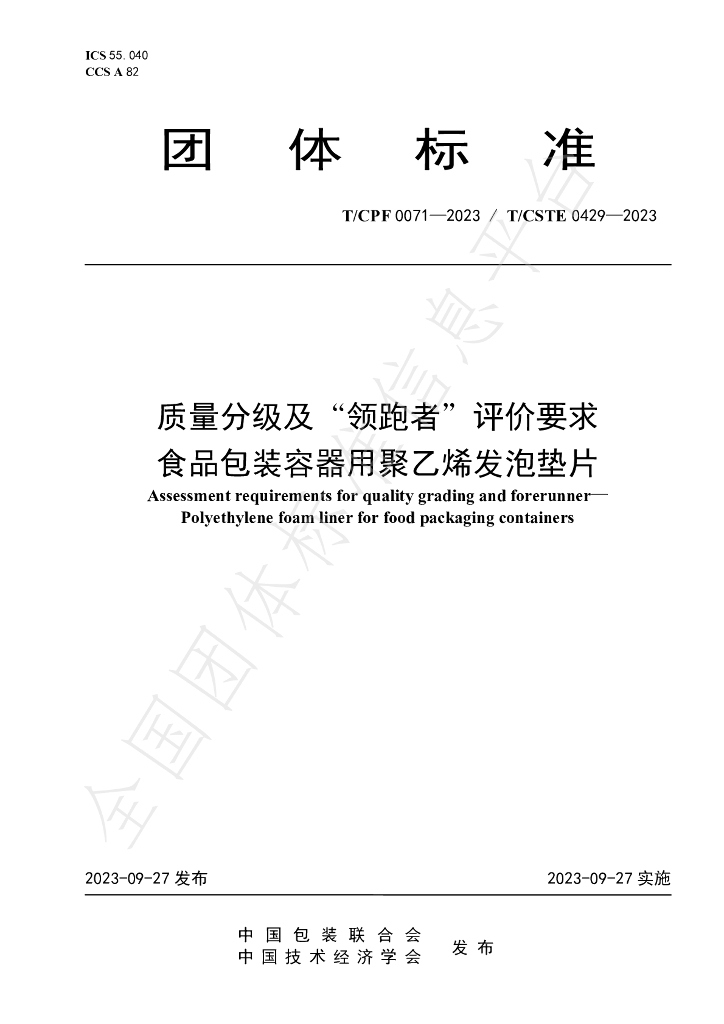 T/CPF 0071-2023 标准预览