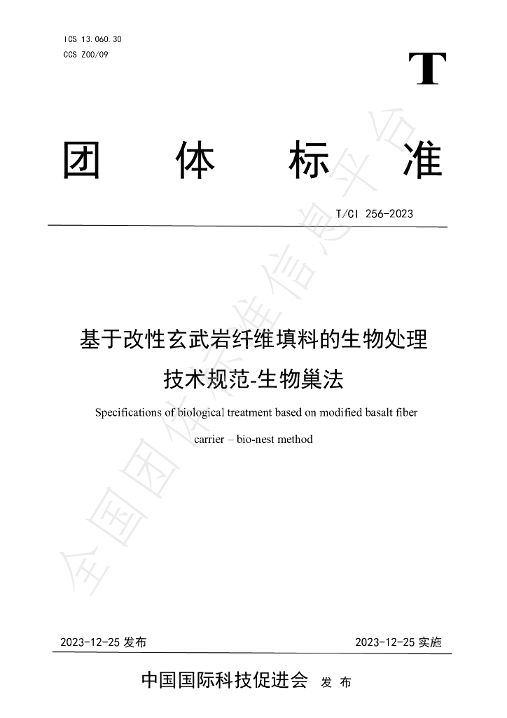 T/CI 256-2023 标准预览