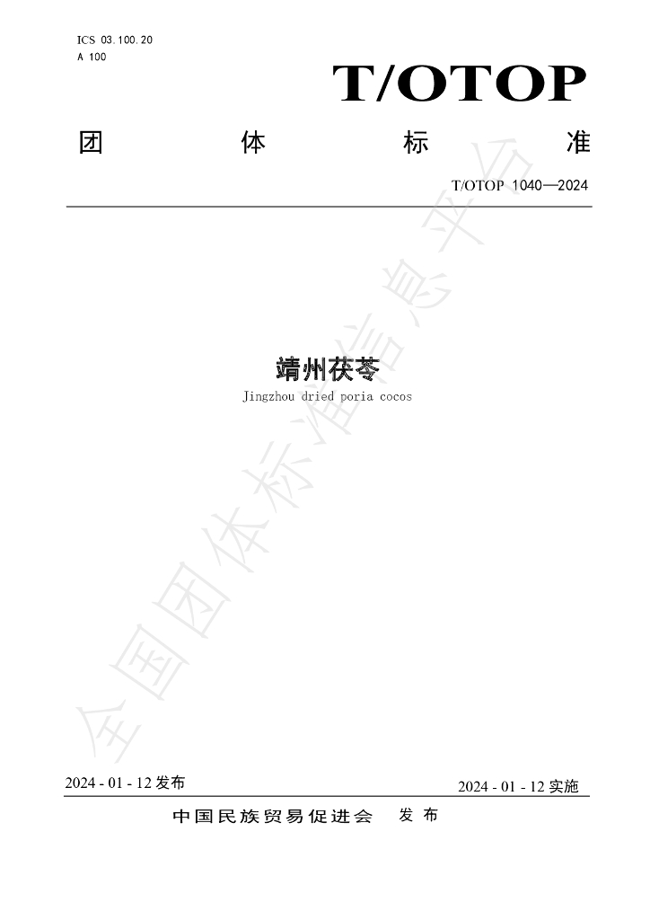 T/OTOP 1040-2024 标准预览