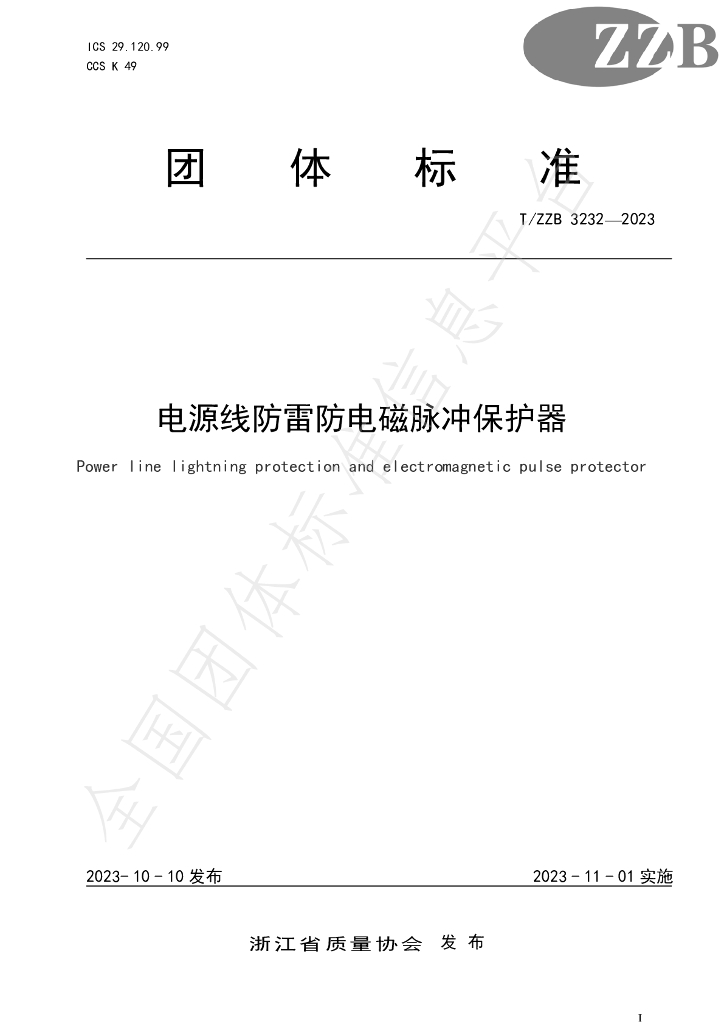 T/ZZB 3232-2023 标准预览
