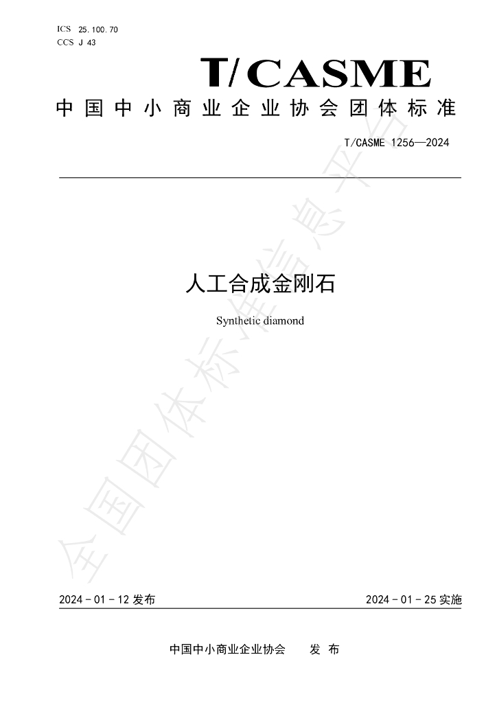 T/CASME 1256-2024 标准预览