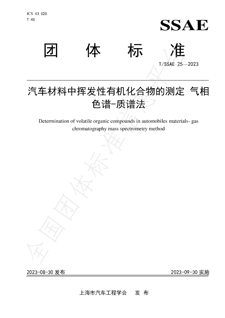 T/SSAE 25-2023 标准预览