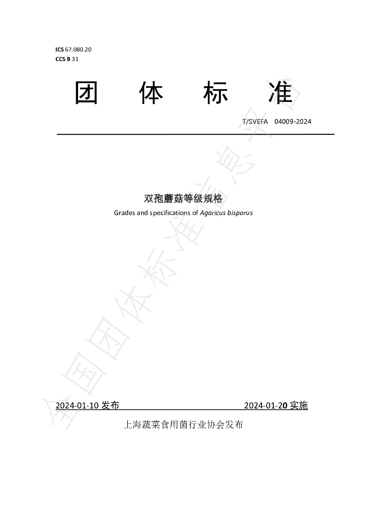 T/SVEFA 04009-2024 标准预览