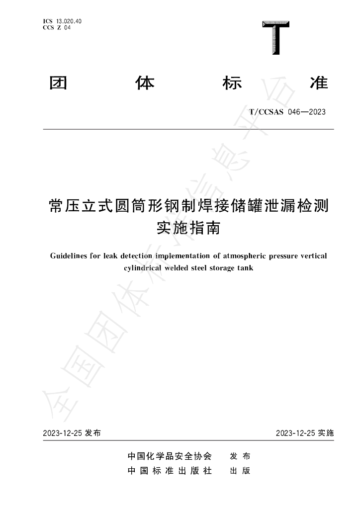 T/CCSAS 046-2023 标准预览