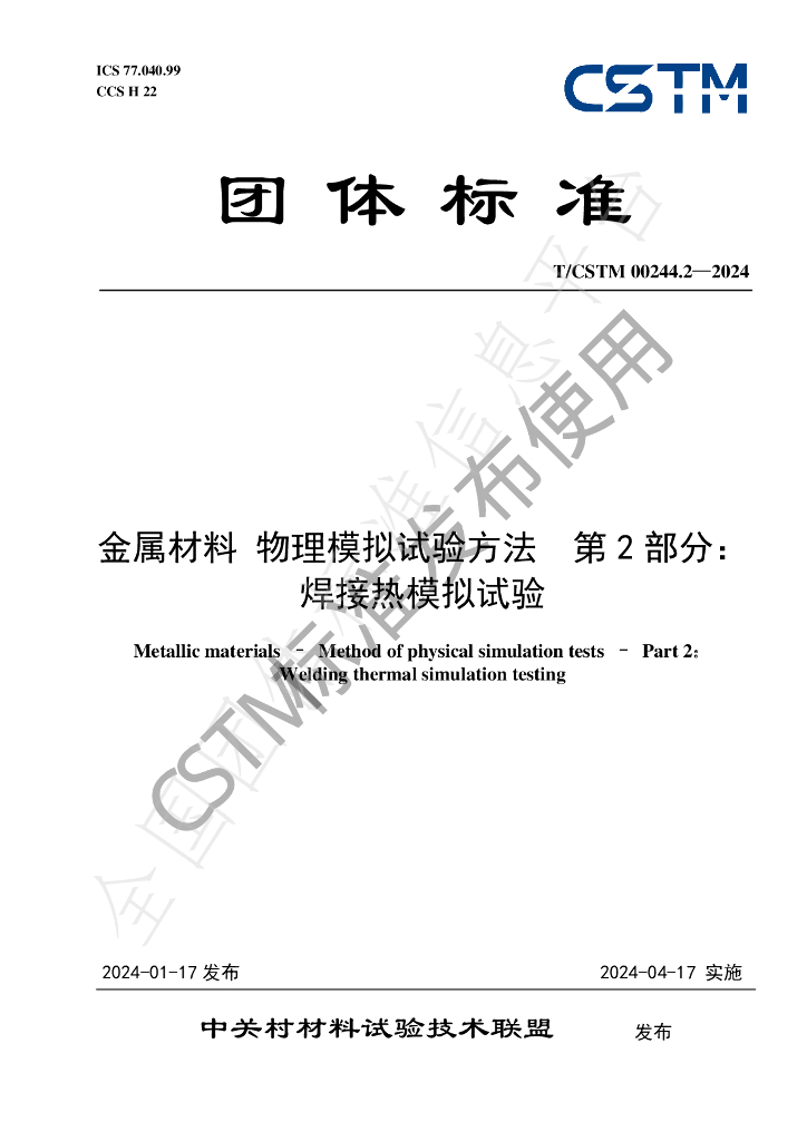 T/CSTM 00244.2-2024 标准预览