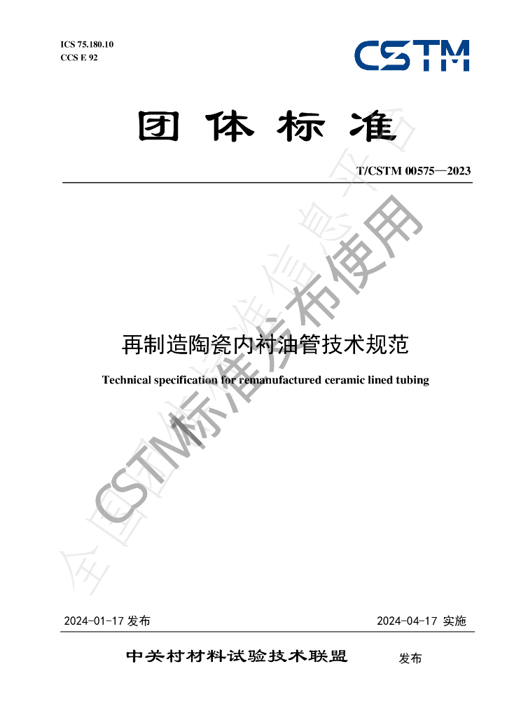 T/CSTM 00575-2024 标准预览