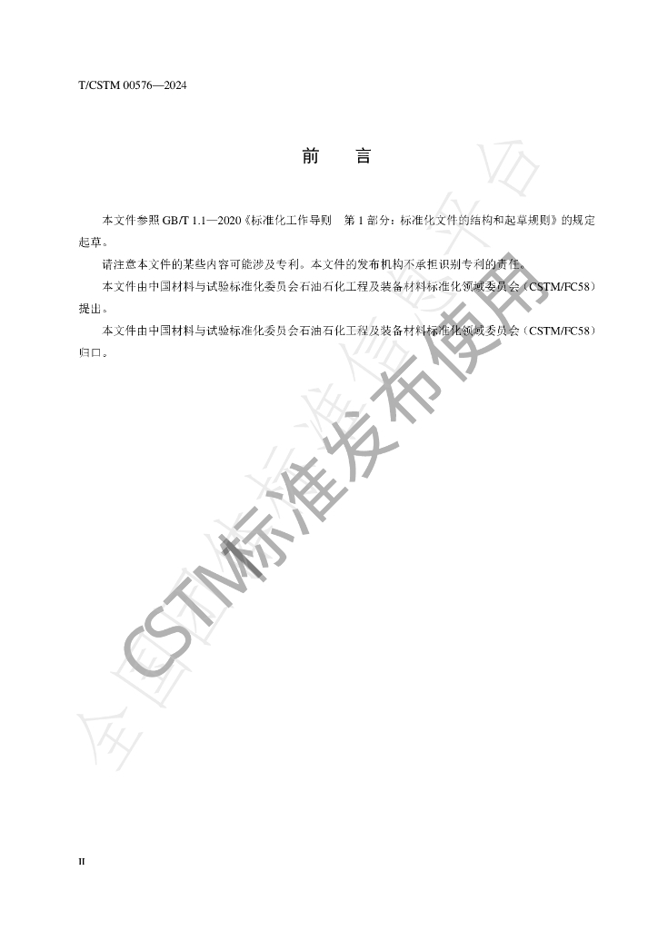 T/CSTM 00576-2024 标准预览