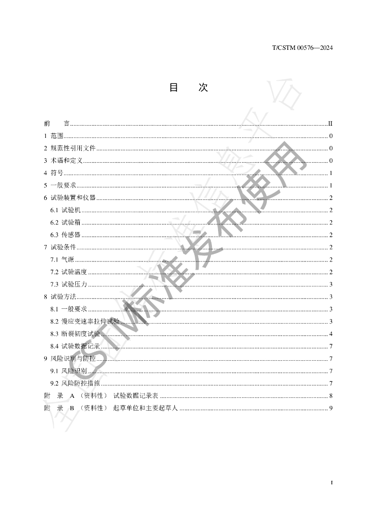 T/CSTM 00576-2024 标准预览