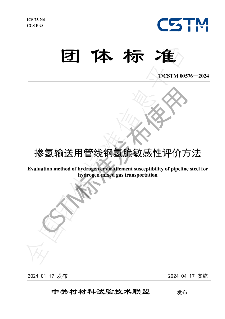 T/CSTM 00576-2024 标准预览
