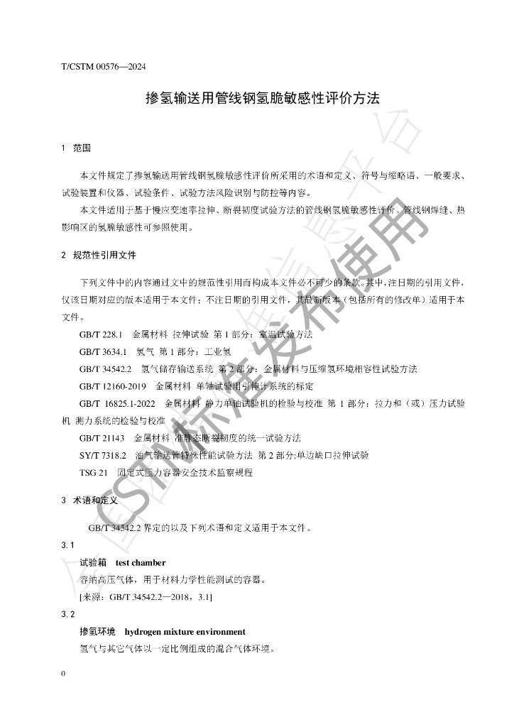 T/CSTM 00576-2024 标准预览