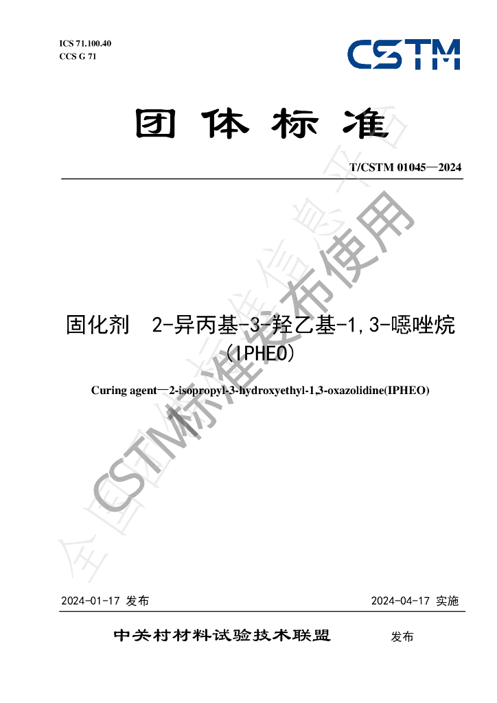 T/CSTM 01045-2024 标准预览