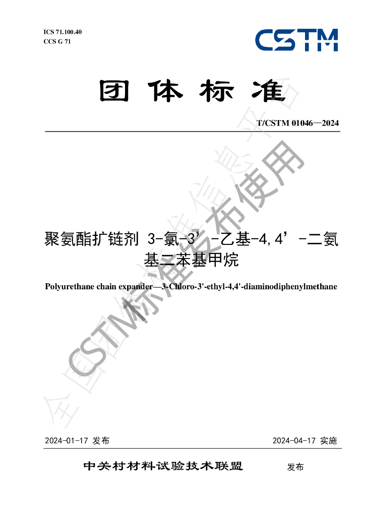 T/CSTM 01046-2024 标准预览