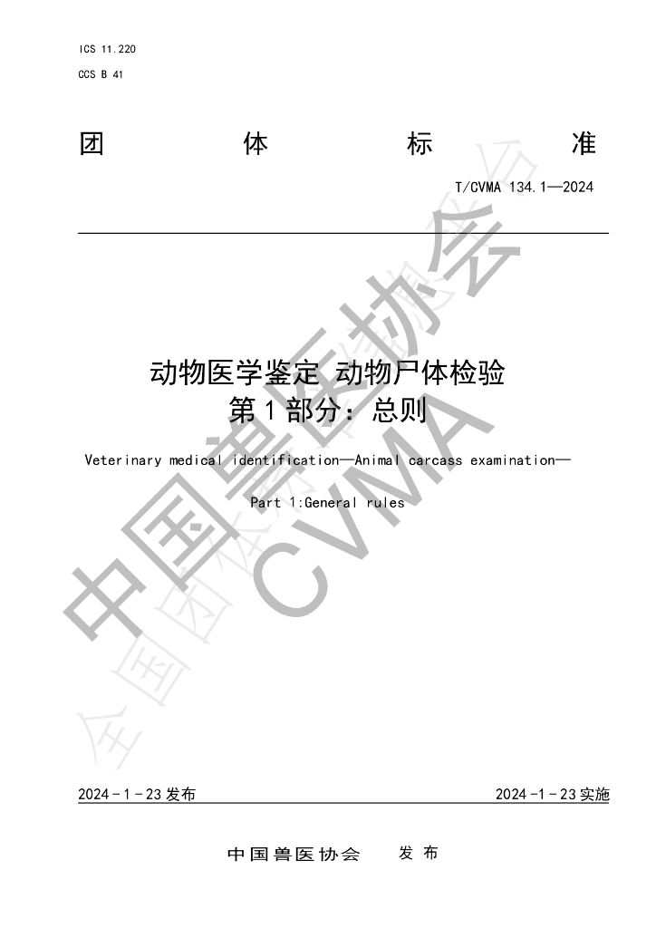 T/CVMA 134.1-2024 标准预览