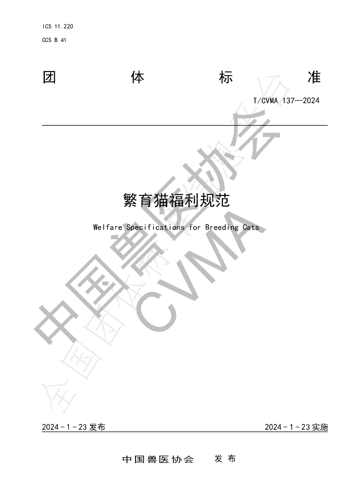 T/CVMA 137-2024 标准预览