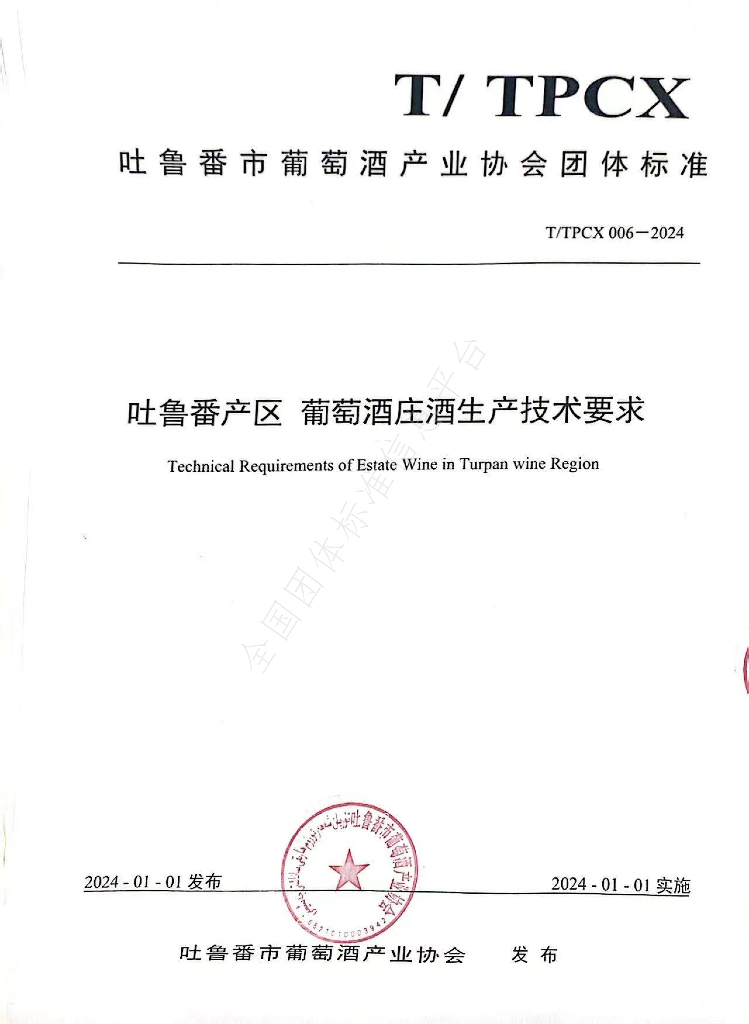 T/TPCX 006-2024 标准预览