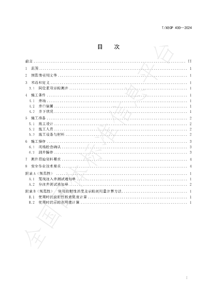 T/XECP 400-2024 标准预览