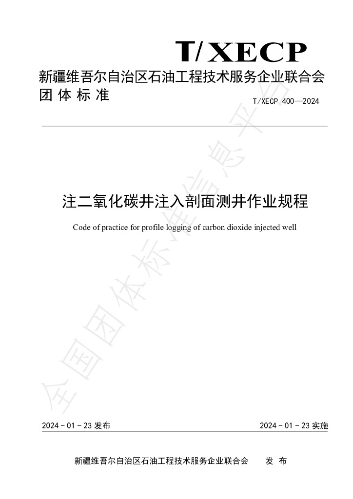 T/XECP 400-2024 标准预览