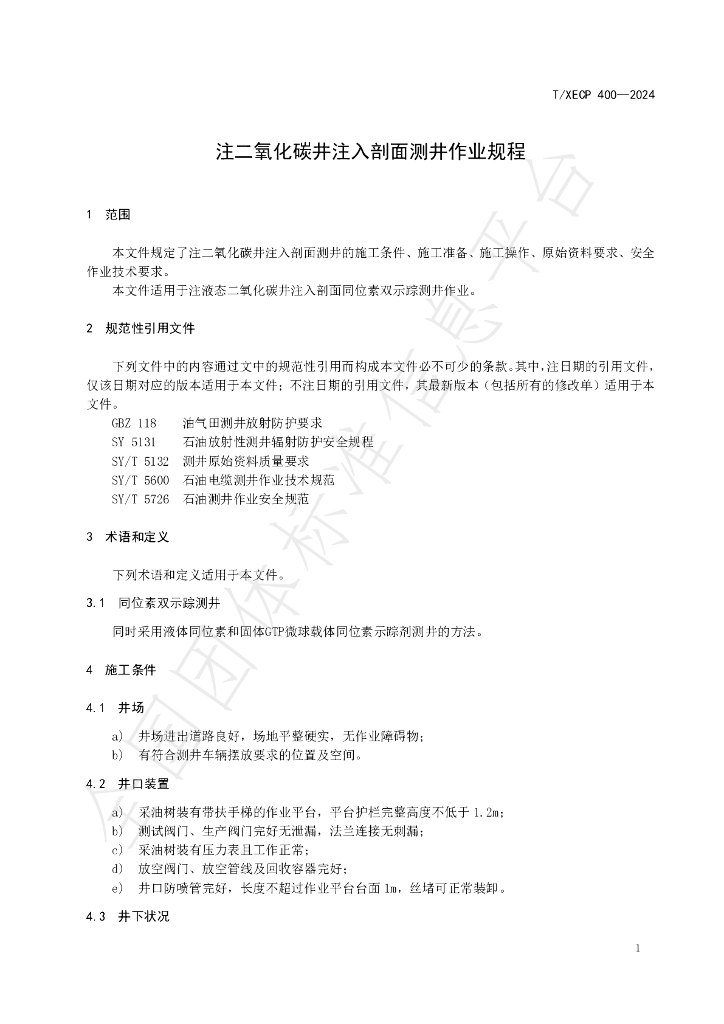 T/XECP 400-2024 标准预览