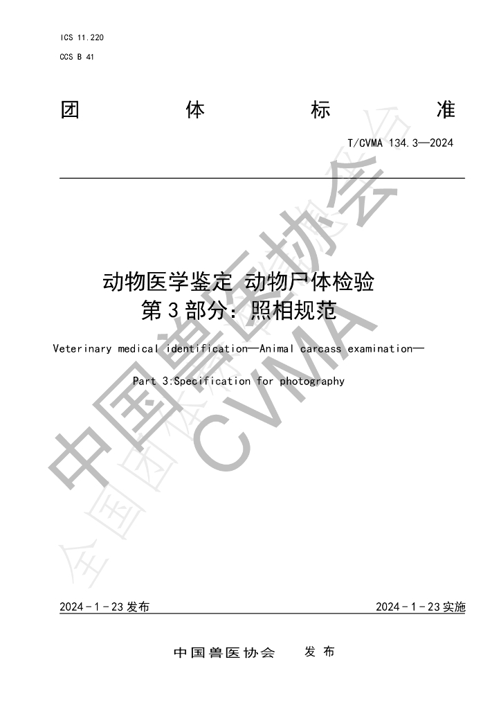T/CVMA 134.3-2024 标准预览