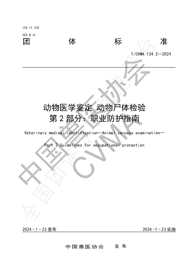 T/CVMA 134.2-2024 标准预览