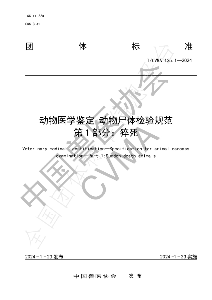 T/CVMA 135.1-2024 标准预览