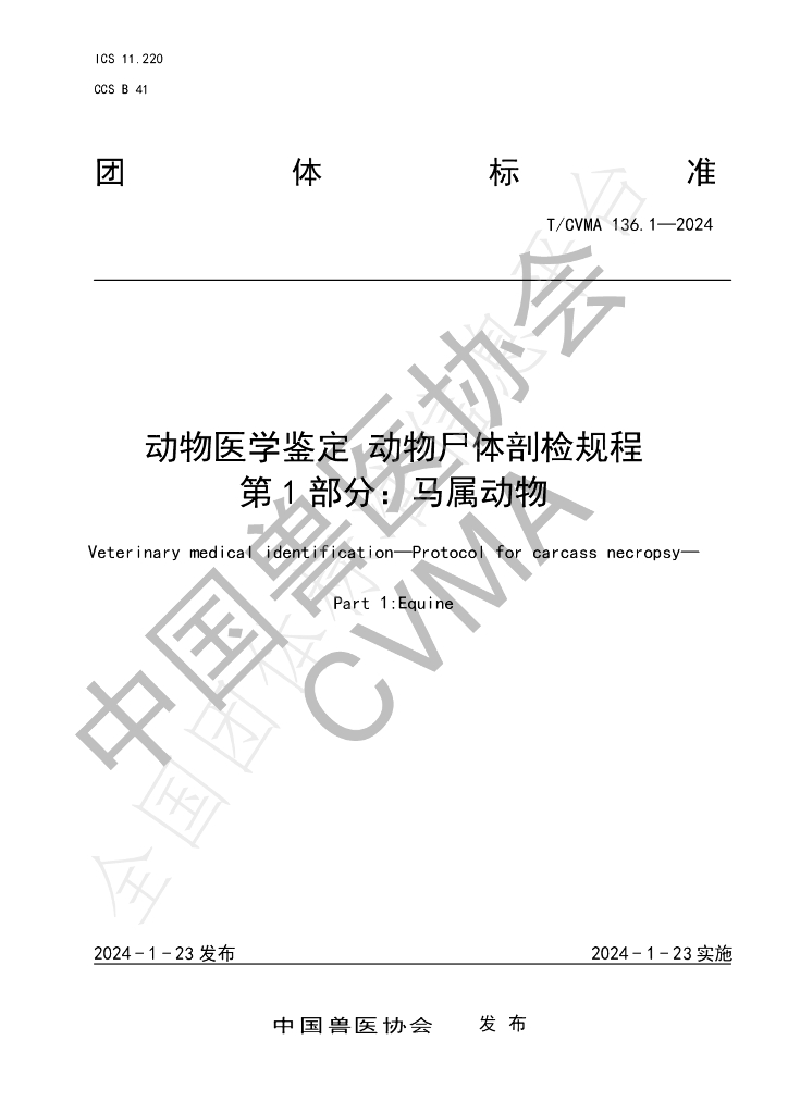 T/CVMA 136.1-2024 标准预览