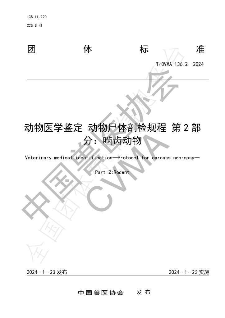 T/CVMA 136.2-2024 标准预览