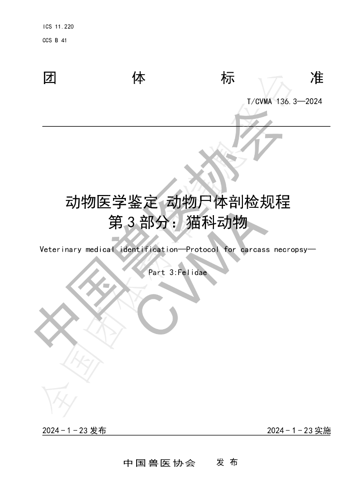 T/CVMA 136.3-2024 标准预览