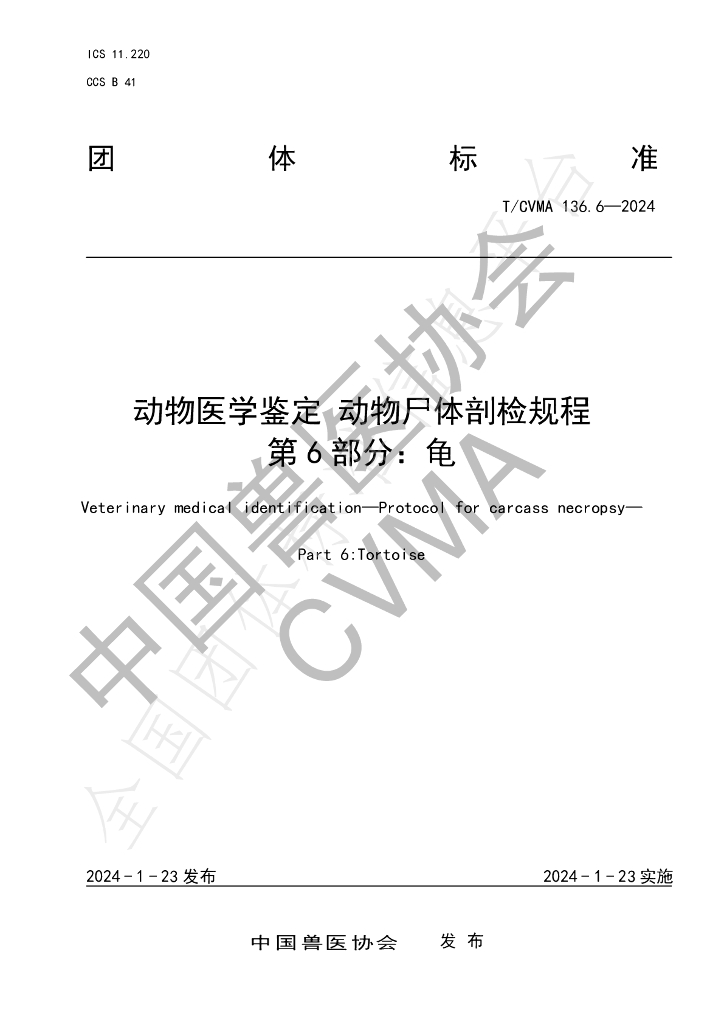 T/CVMA 136.6-2024 标准预览